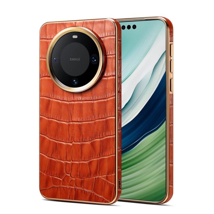 EDA005985902C.jpg@866a6be3686e893fa91fcaeb85f2854e