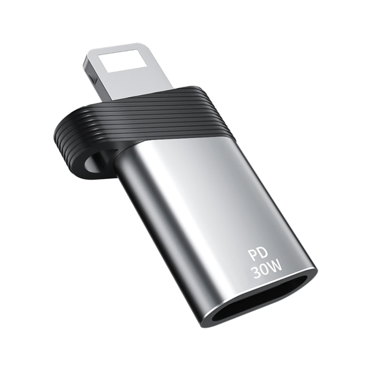 ADS-616A PD 30W 8 Pin Male to USB-C/Type-C Female Adapter(Silver) by buy2fix