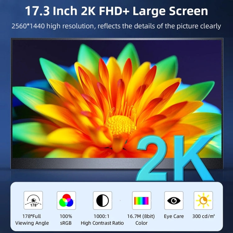 17.3 inch UHD 2560x1440P IPS Screen Portable Monitor(No Charger) by buy2fix