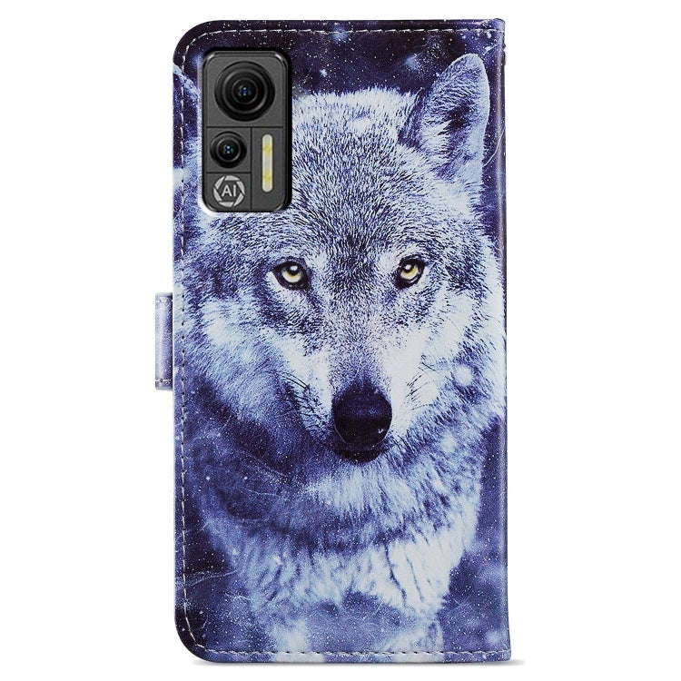 For Ulefone Note 14 Painted Pattern Horizontal Flip Leather Phone Case(White Wolf) by buy2fix