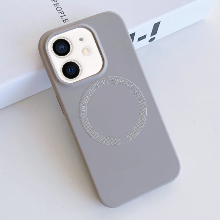 For iPhone 11 MagSafe Magnetic Liquid Silicone Phone Case(Grey) by buy2fix