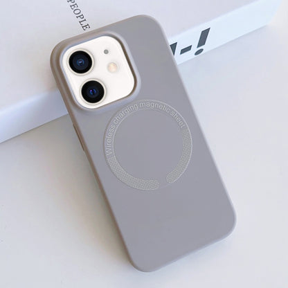 For iPhone 11 MagSafe Magnetic Liquid Silicone Phone Case(Grey) by buy2fix