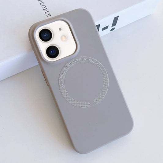For iPhone 11 MagSafe Magnetic Liquid Silicone Phone Case(Grey) by buy2fix