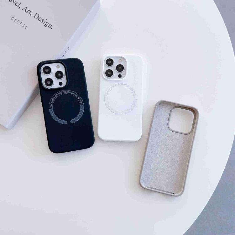 For iPhone 11 MagSafe Magnetic Liquid Silicone Phone Case(Grey) by buy2fix