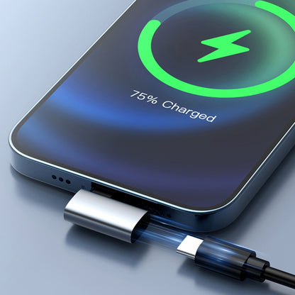 60W USB-C/Type-C to 8 Pin Female Charging Transfer Adapter by buy2fix