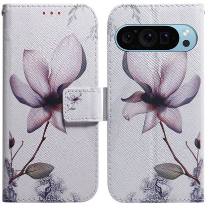 For Google Pixel 9 Pro Coloured Drawing Flip Leather Phone Case(Magnolia) by buy2fix