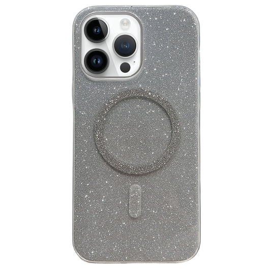 For iPhone 13 Pro Glitter MagSafe Magnetic TPU Phone Case(Silver) by buy2fix