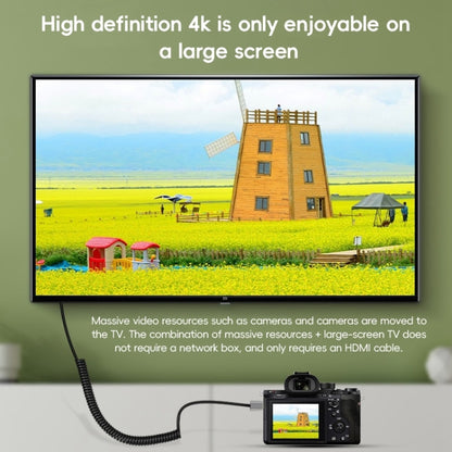 Mini HDTV to HDTV Right Angle Head HD Video Data Adapter Cable for DSLR Camera(Straight) by buy2fix