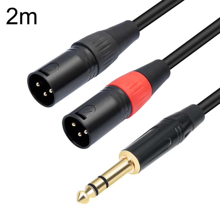 TC145YXK108RE-10 6.35mm 1/4 TRS Male to Dual XLR Male Audio Cable, Length:2m(Black) by buy2fix