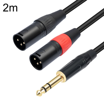 TC145YXK108RE-10 6.35mm 1/4 TRS Male to Dual XLR Male Audio Cable, Length:2m(Black) by buy2fix