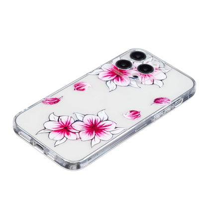 For iPhone 16 Pro Max Colored Drawing Pattern Transparent TPU Phone Case(Sakura) by buy2fix