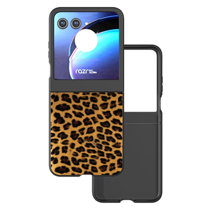 For Motorola Razr 50 Black Edge Leopard Phone Case(Gold Leopard) by buy2fix