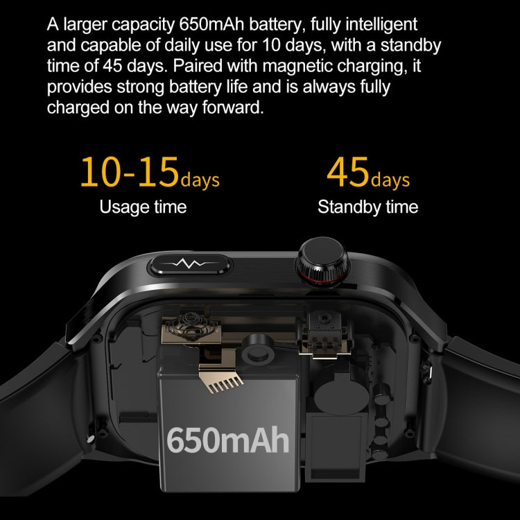 TK16 2.04 inch LCD Screen Steel Strap Smart Watch Supports Health Monitoring(Black) by buy2fix