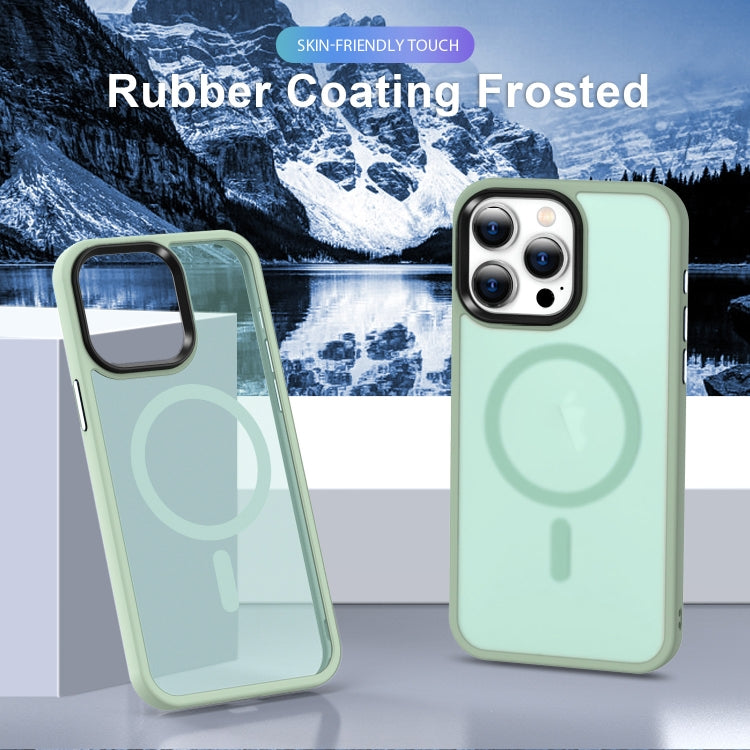 For iPhone 12 Pro MagSafe Magnetic Skin Feel Frosted Phone Case(Light Green) by buy2fix