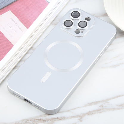 For iPhone 16 Pro Max Liquid TPU Silicone Solid Color MagSafe Phone Case(Silver) by buy2fix