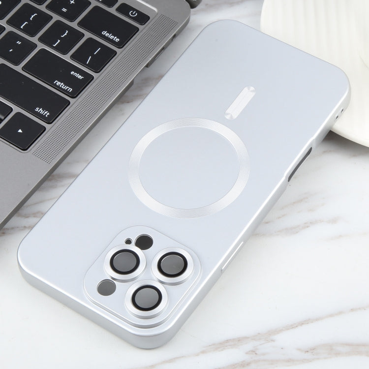 For iPhone 16 Pro Liquid TPU Silicone Solid Color MagSafe Phone Case(Silver) by buy2fix