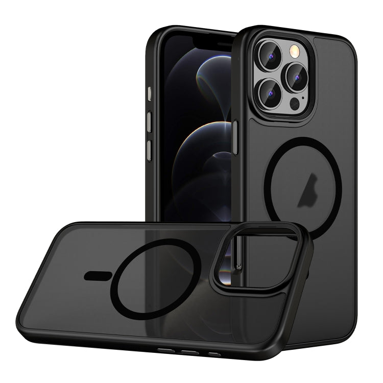 For iPhone 12 Pro Skin Feel Frosted MagSafe Magnetic Phone Case(Transparent Black) by buy2fix