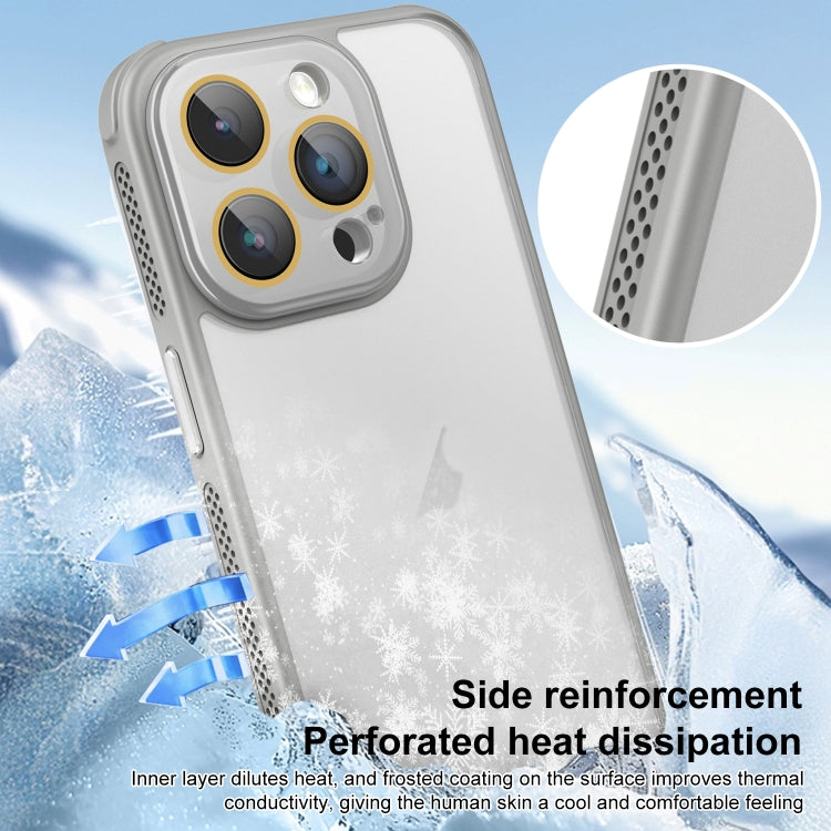 For iPhone 16 Pro Max Hardware Side Cooling Skin Feel Frosted Phone Case with Lens Film(Black) by buy2fix