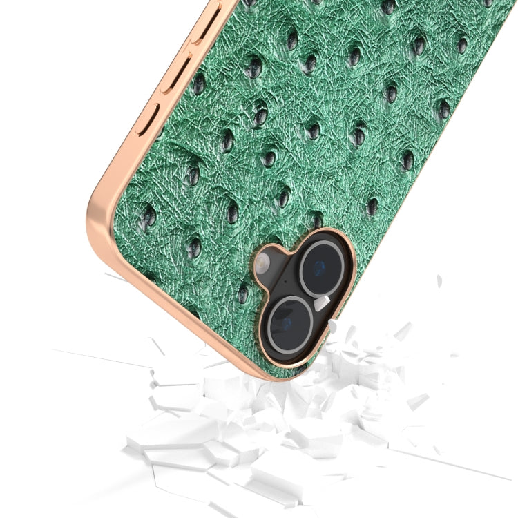 For iPhone 16 ABEEL Electroplating Frame Genuine Leather Ostrich Texture Phone Case(Green) by buy2fix