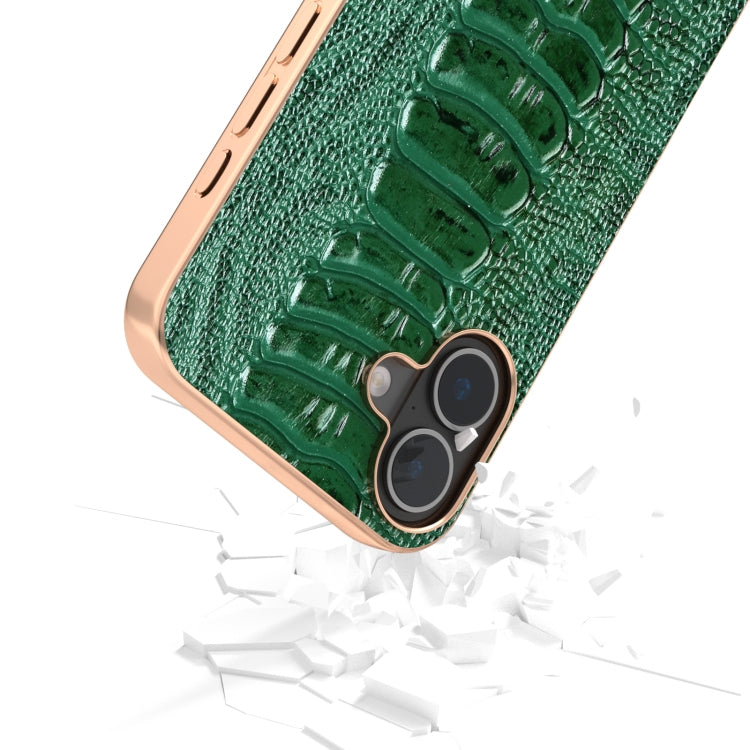 For iPhone 16 ABEEL Electroplating Frame Genuine Leather Weilai Series Phone Case(Green) by buy2fix