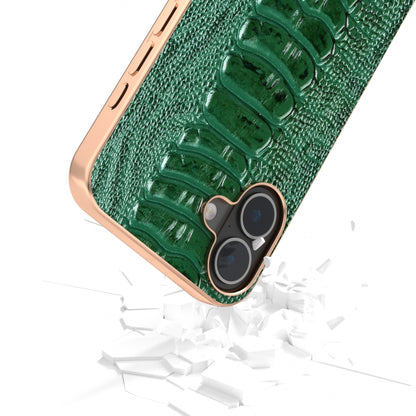 For iPhone 16 ABEEL Electroplating Frame Genuine Leather Weilai Series Phone Case(Green) by buy2fix