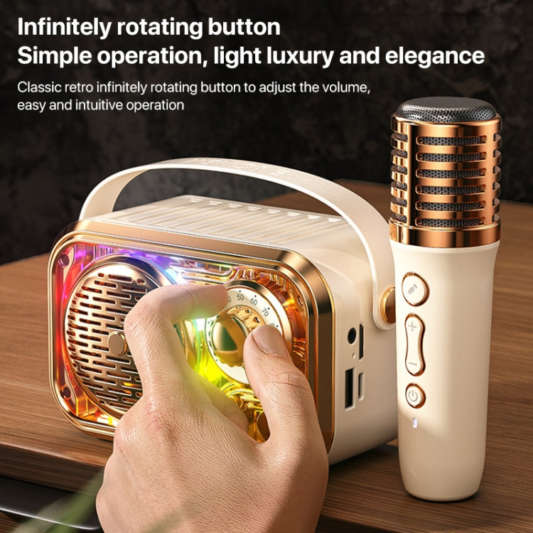 WEKOME WD-03 Meytang Karaoke Wireless Bluetooth Speaker(Black) - Desktop Speaker by WK | Online Shopping UK | buy2fix
