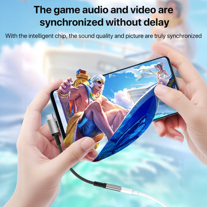 2 in 1 USB-C / Type-C, 8 Pin to 3.5mm Audio Adapter Cable, Length:15.6cm(Grey) - Earphone Adapter by buy2fix | Online Shopping UK | buy2fix