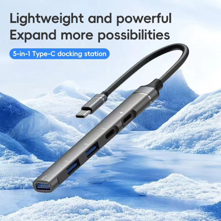 2 Type-C, 3 USB Multifunctional HUB Docking Station by buy2fix