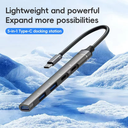 2 Type-C, 3 USB Multifunctional HUB Docking Station by buy2fix