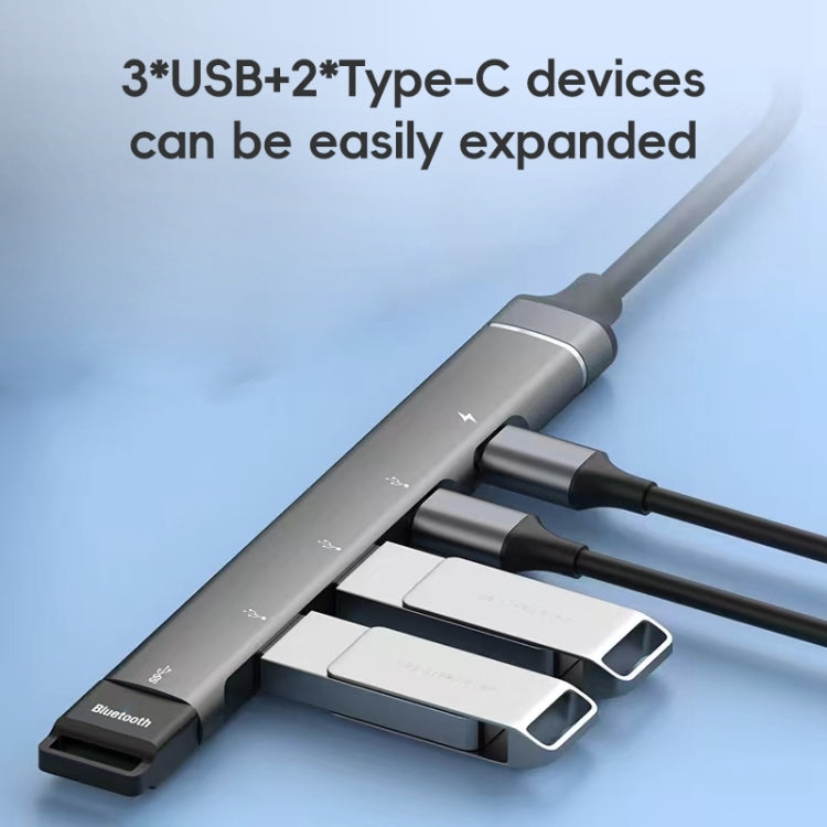 2 Type-C, 3 USB Multifunctional HUB Docking Station by buy2fix