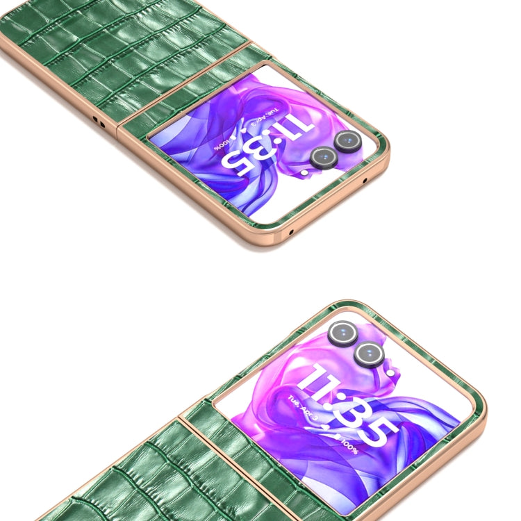 For Motorola Razr 50 ABEEL Electroplating Frame Crocodile Texture Genuine Leather Phone Case(Green) by buy2fix