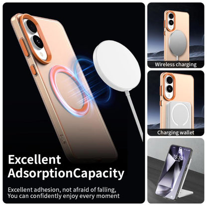 EDA007184812B_2.jpg@d0f781ee3b2ce2dcb2d974cd8ca9e394