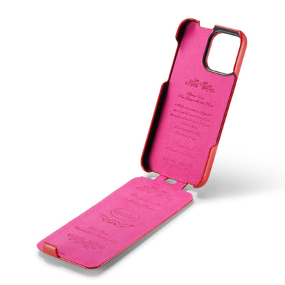For iPhone 16 Pro Max Fierre Shann 64 Texture Vertical Flip PU Leather Phone Case(Red) by FIERRE SHANN