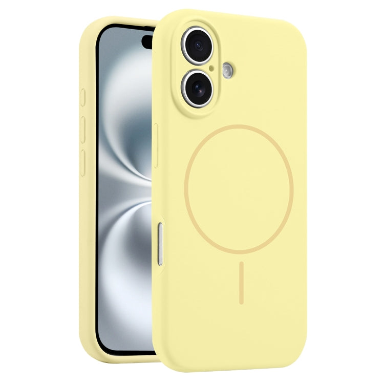 EDA007286315F.jpg@d77b59edb33926e2bbfec19b1de79754