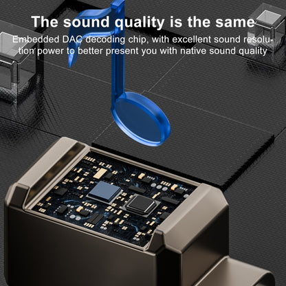 EDA0073443_B4.jpg@71ac7adbb860168177420280da3d6955