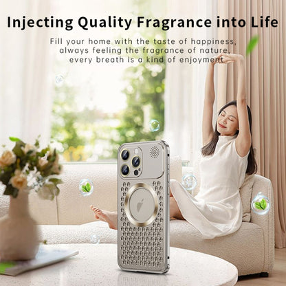 For iPhone 16 Pro Spring Buckle MagSafe Magnetic Metal Aromatherapy Phone Case(Grey) - iPhone 16 Pro Cases by buy2fix | Online Shopping UK | buy2fix
