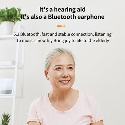 Bluetooth 5.3 In-ear AI Smart Recognition Hearing Aid(Black) - Hearing Aids by buy2fix | Online Shopping UK | buy2fix