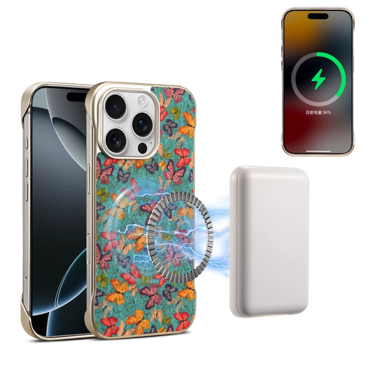 For iPhone 16 Pro Max Denior A18 Paint MagSafe Phone Case(Butterflies) by Denior