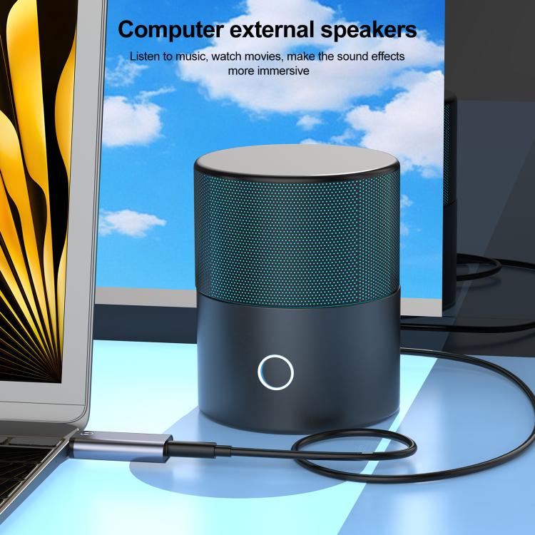 2pcs / Set USB Male to 3.5mm Female Audio Adapter & Cable(Grey) - Audio Adapter by buy2fix | Online Shopping UK | buy2fix