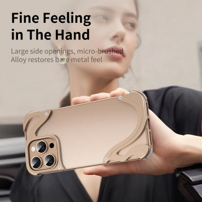 For iPhone 15 Pro Dolphin Metal Hybrid PC Transparent Back Panel Phone Case(Titanium) - iPhone 15 Pro Cases by buy2fix | Online Shopping UK | buy2fix
