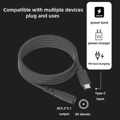 Type-C to DC 5.5x2.1mm 100W Computer Charging Adapter, Length:2m - Universal Power Adapter by buy2fix | Online Shopping UK | buy2fix