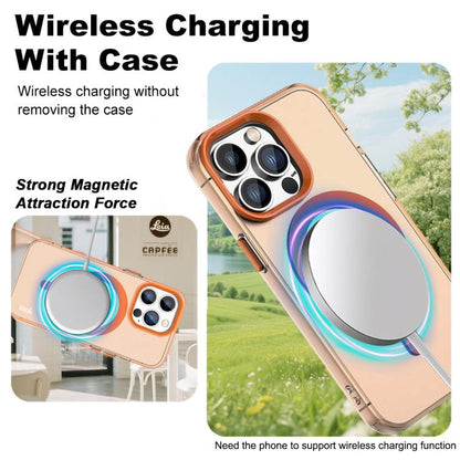 EDA007687416F_2.jpg@151ffe6bf6b31016853519b7025250f0