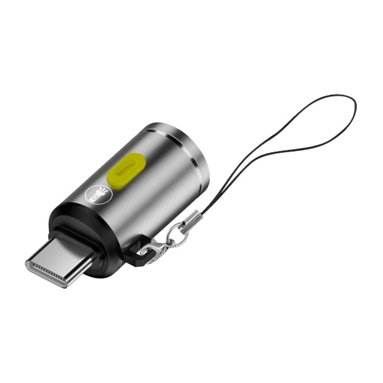 Type-C Power Mini Flashlight 210-230LM(Silver) - Others Accessories by buy2fix | Online Shopping UK | buy2fix
