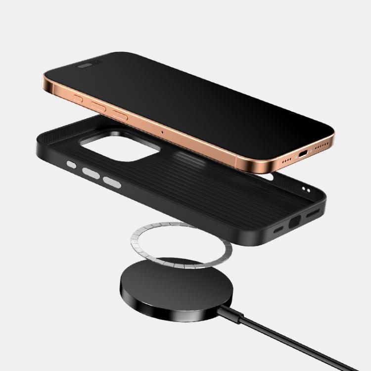 For iPhone 13 Pro ABEEL Ruyi Pattern 6D Micro Relief MagSafe Leather Phone Case(Brown) - iPhone 13 Pro Cases by buy2fix | Online Shopping UK | buy2fix
