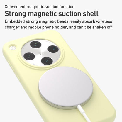 EDA0080627_B6.jpg@3a4a08a6aa37868f37982e30a6205b7a