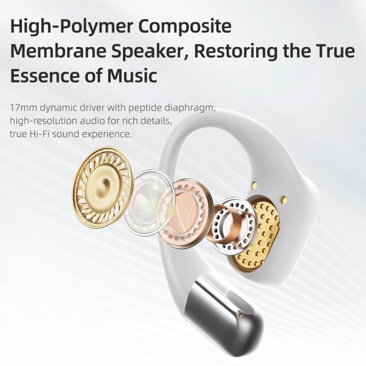 ROCK X718 RAU0783 Bluetooth 5.4 Wireless Ear-Hugs Earphones(Black) - Bluetooth Earphone by ROCK | Online Shopping UK | buy2fix