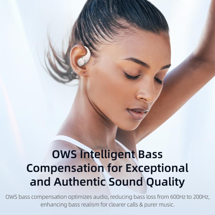 ROCK X718 RAU0783 Bluetooth 5.4 Wireless Ear-Hugs Earphones(Black) - Bluetooth Earphone by ROCK | Online Shopping UK | buy2fix