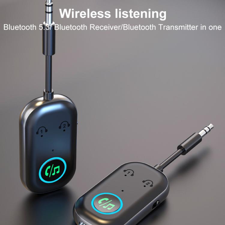 BR08T 2 in 1 Car Bluetooth AUX Receiver Transmitter Bluetooth Audio Adapter(Black) - Bluetooth Adapters by buy2fix | Online Shopping UK | buy2fix