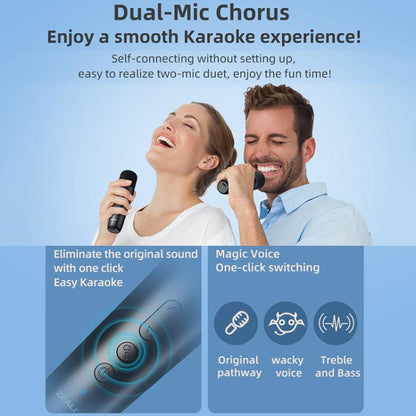 Zealot M2 8W Portable Outdoor RGB Bluetooth Speaker, Type:with 2pcs Microphones(Black) - Desktop Speaker by ZEALOT | Online Shopping UK | buy2fix