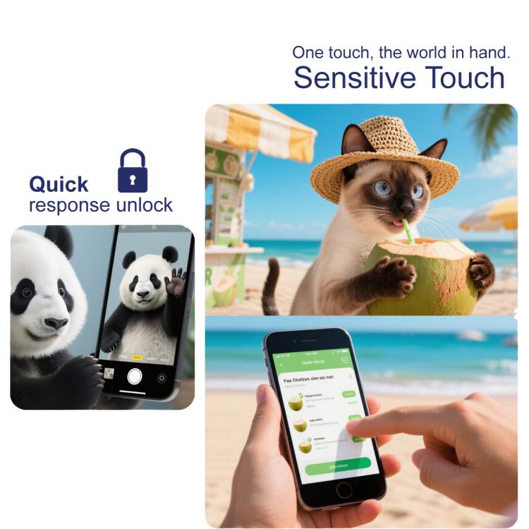 EDA008514209_6.jpg@19ca1d22f690d81d7b1ca97c56ed87d1